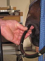 Paard bronchoscopie